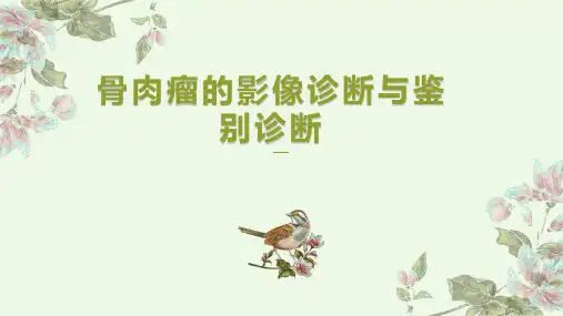 骨肉瘤的影像诊断与鉴别诊断