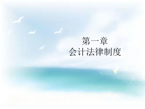 会计财经法规课件第一章