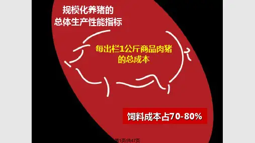 规模化养猪饲料营养高效配制策略及降低饲料成本技术PPT课件