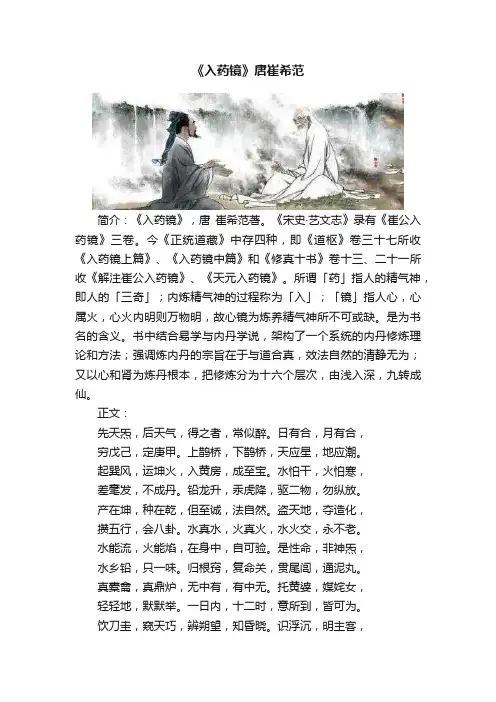 《入药镜》唐崔希范