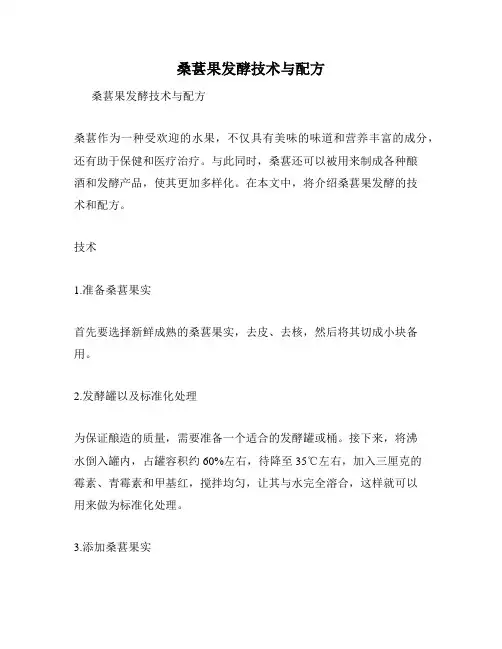 桑葚果发酵技术与配方