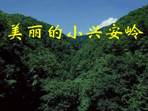 美丽的小兴安岭PPT课件