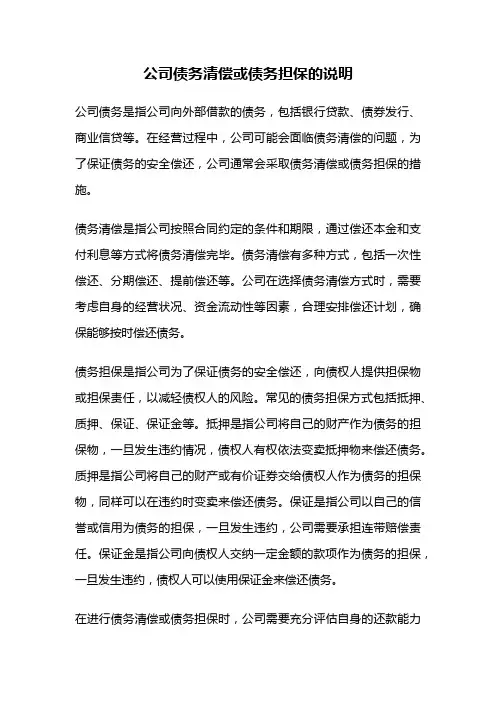 公司债务清偿或债务担保的说明