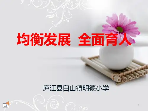 义务教育均衡发展工作纪实 PPT课件
