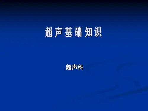 超声检查与解读报告基础知识PPT模板