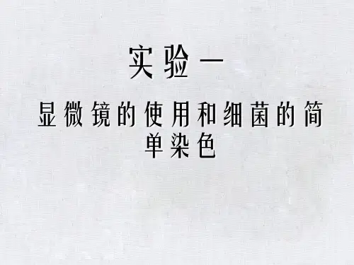 实验一显微镜的使用和细菌的简单染色