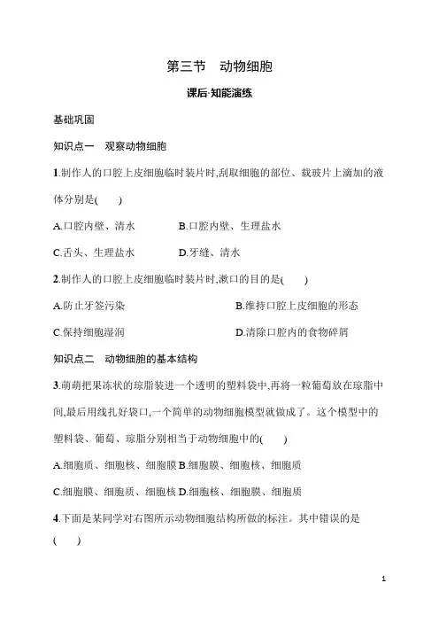 2.3动物细胞 同步练习 人教版(2024)生物七年级上册