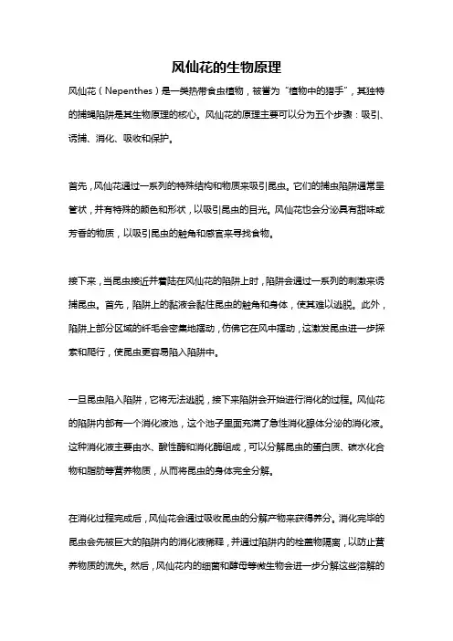 风仙花的生物原理