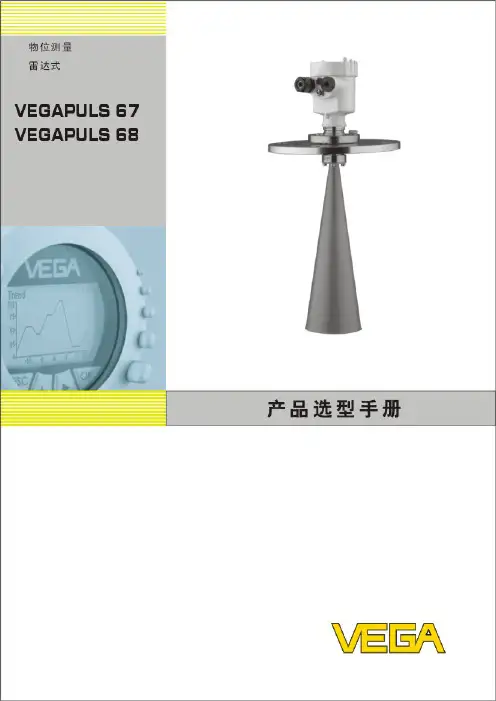 雷达料位计VEGAPULS67[1][1].68