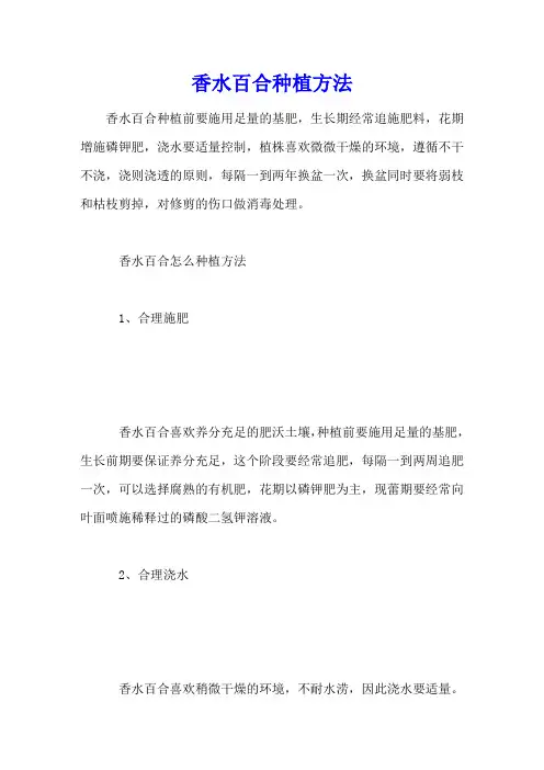 香水百合种植方法