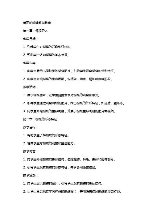 美丽的蝴蝶教学教案