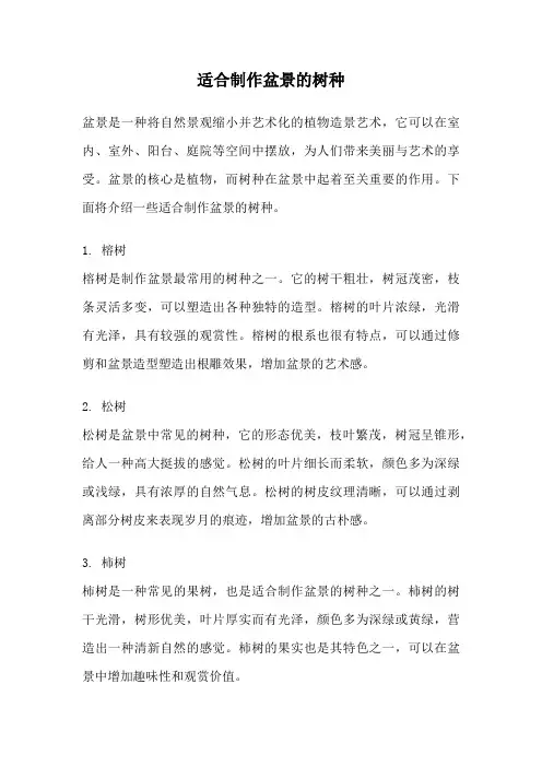 适合制作盆景的树种