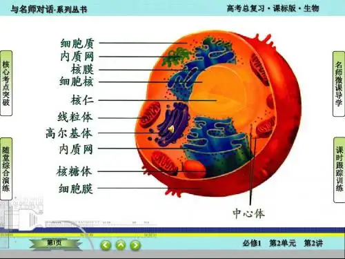2017细胞器的结构和功能