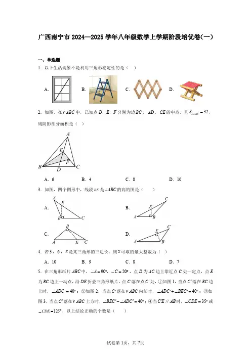 广西南宁市2024—2025学年八年级数学上学期阶段培优卷(一)