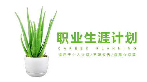 职业生涯规划PPT模板