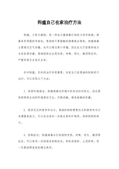 狗瘟自己在家治疗方法