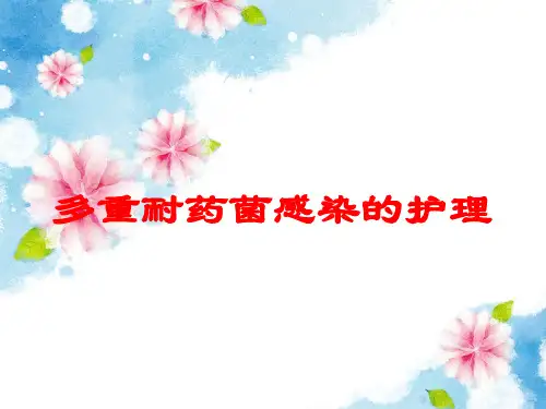 多重耐药菌感染的护理培训课件