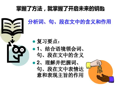 分析文中重要词、句、段在文中的含义和作用