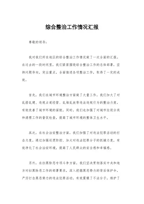 综合整治工作情况汇报