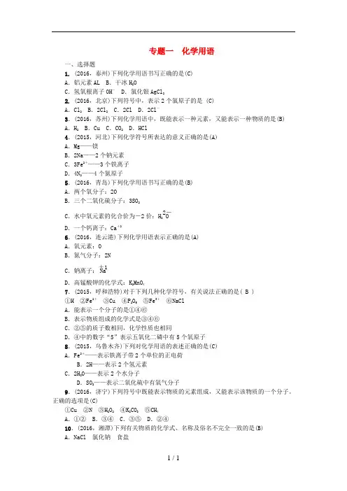 中考化学总复习-专题训练-专题一-化学用语试题