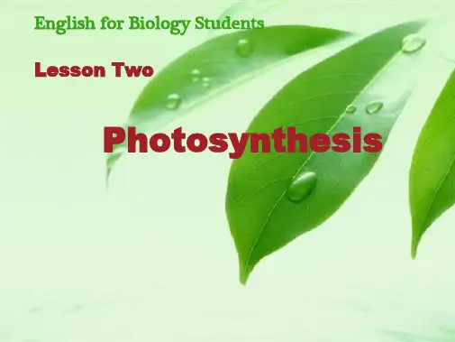 生物专业英语(共62张PPT)