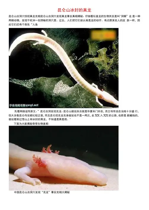 昆仑山冰封的真龙===