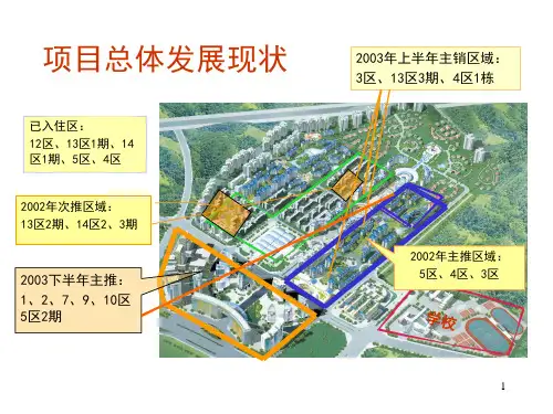XXXX1221深圳桃源居XXXX营销策略总纲