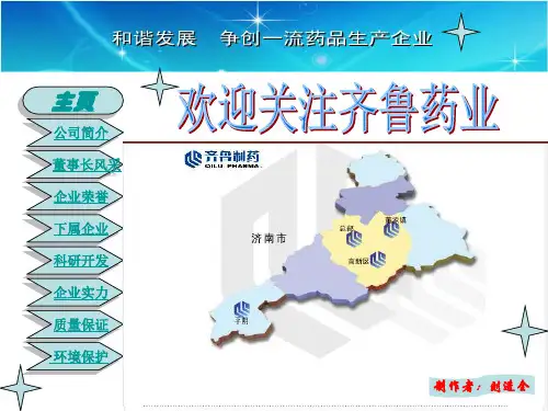 齐鲁制药有限公司简介