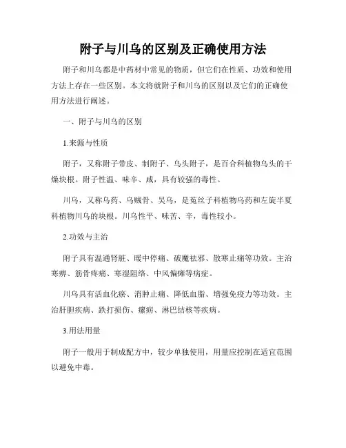 附子与川乌的区别及正确使用方法