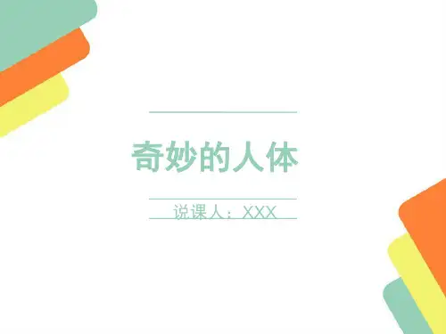 奇妙的人体(说课稿) PPT