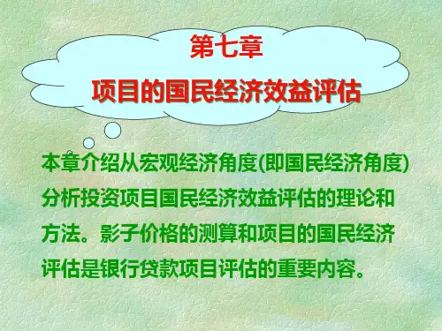 第七章国民经济效益评价.pptx