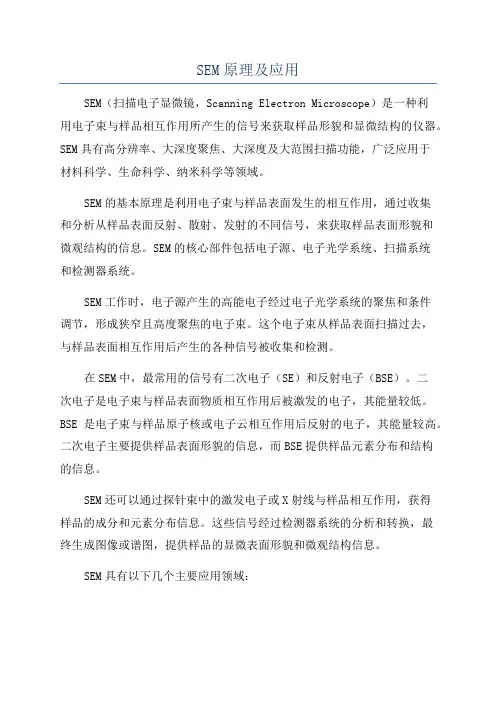 SEM原理及应用