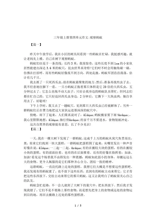三年级上册第四单元作文-观察蚂蚁