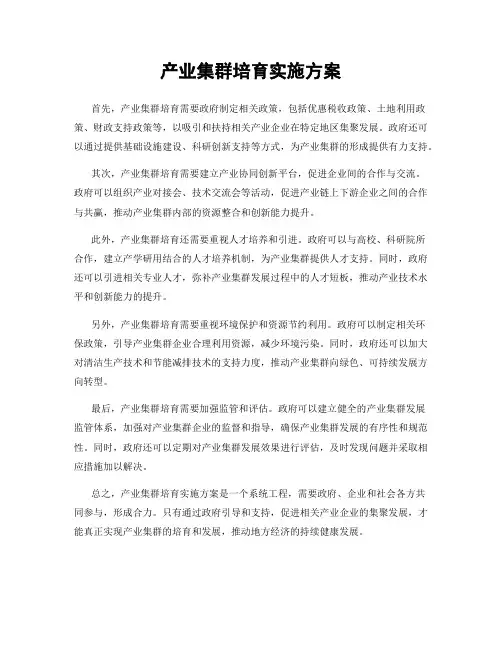 产业集群培育实施方案