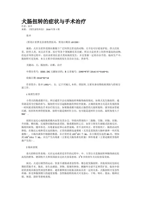 犬肠扭转的症状与手术治疗