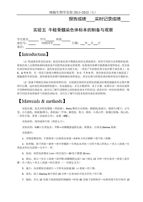 5-牛蛙骨髓染色体标本的制备与观察