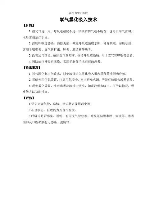 雾化吸入(氧气驱动)技术