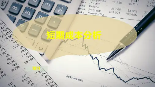 短期成本分析