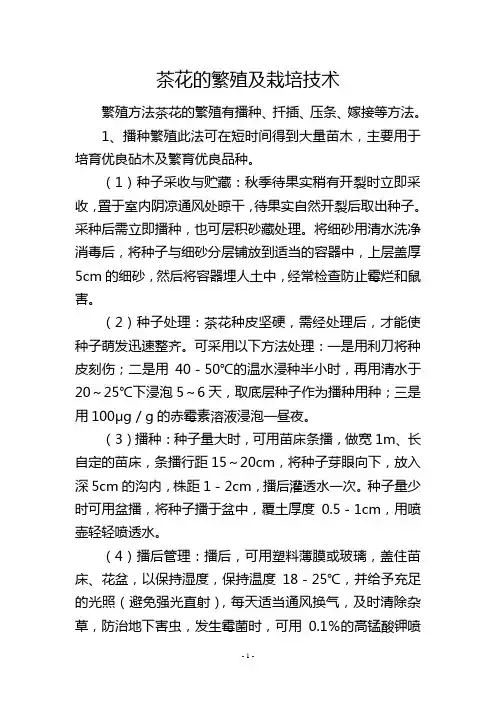 茶花的繁殖及栽培技术