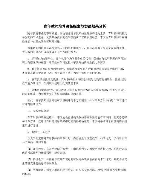 青年教师培养路径探索与实践效果分析