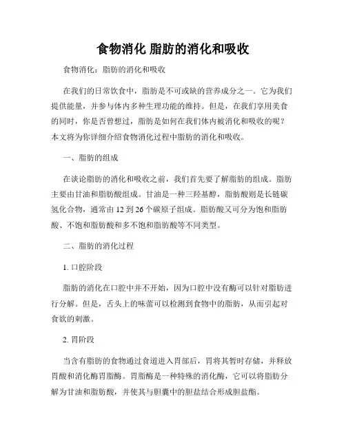 食物消化 脂肪的消化和吸收