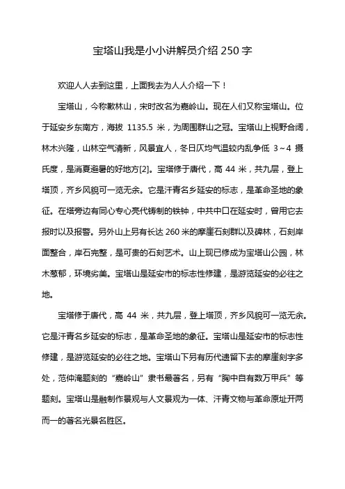 宝塔山我是小小讲解员介绍250字