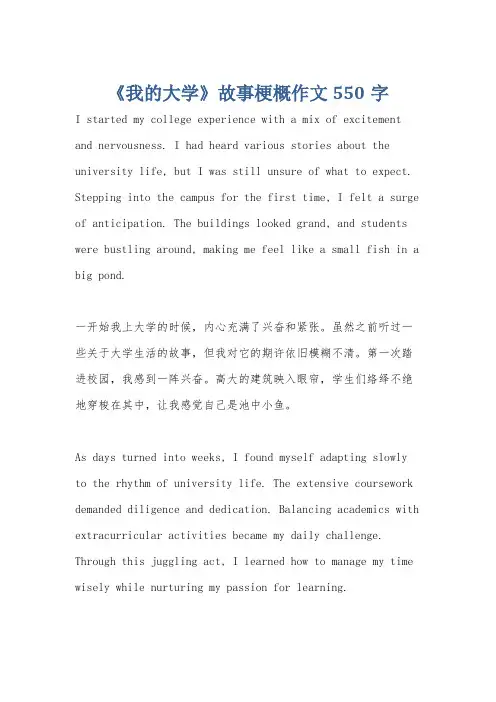 《我的大学》故事梗概作文550字