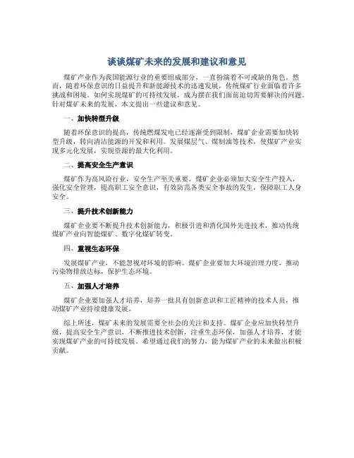 谈谈煤矿未来的发展和建议和意见