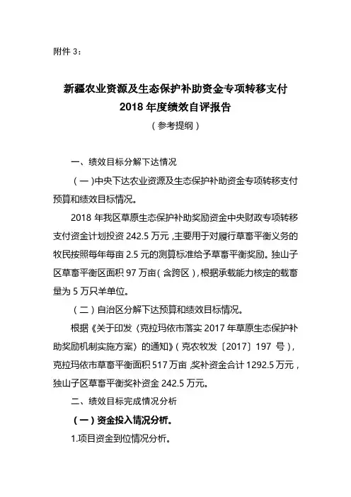 2018年度绩效自评报告