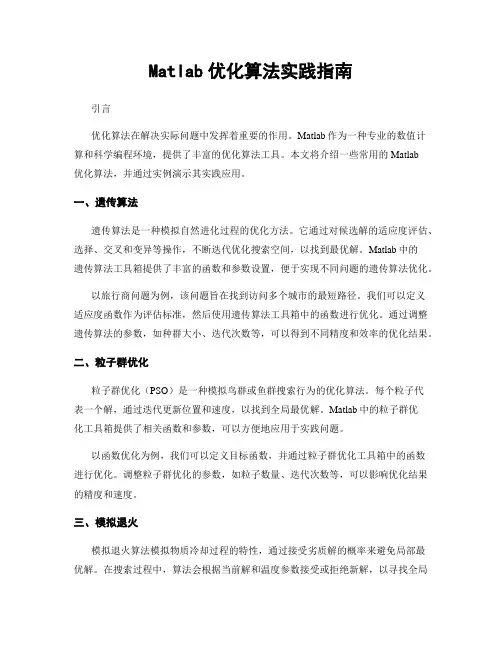 Matlab优化算法实践指南