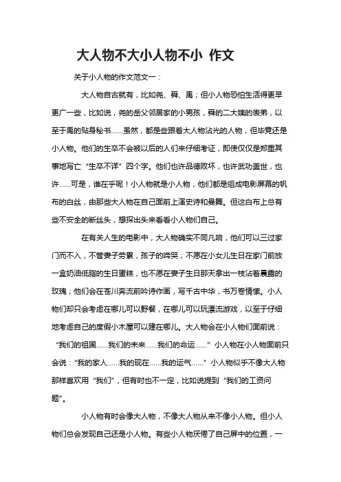 大人物不大小人物不小 作文