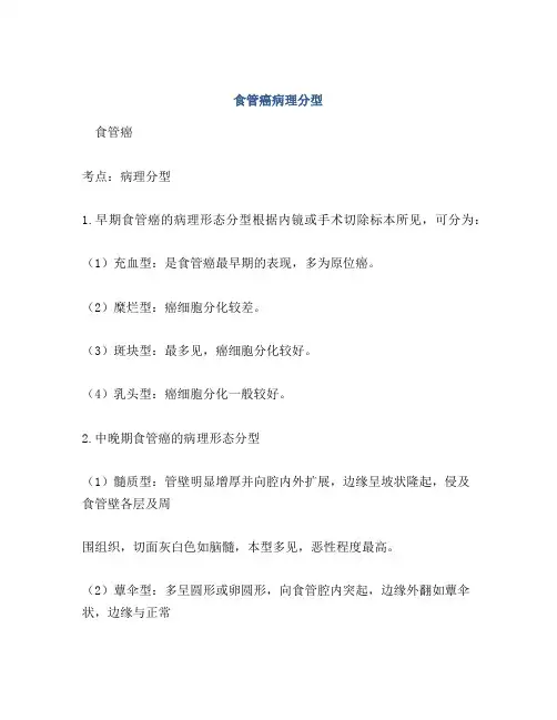 食管癌病理分型