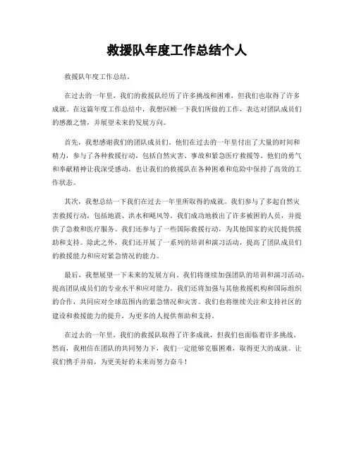 救援队年度工作总结个人