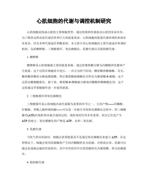 心肌细胞的代谢与调控机制研究